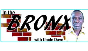 In the bronx logo