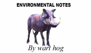 Environmental notes logo