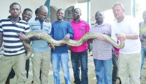•CEDRIC farm manager Dudley Whittmore in a white t-shirt far right showing a python as show goers join in posing with the reptile.