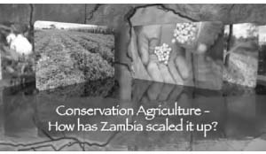 •Food and Agricultural Organisation (FAO) has re-enforced its efforts in the use of ICTs under its Conservation Agricullture Scaling-up (CASU) project