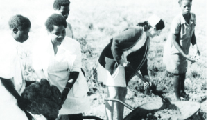 •Nurses and general workers at Ndola’s Arthur Davison Hospital work on a piece of land during the Humanism week in 1977.