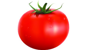 . Tomato