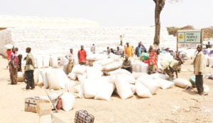 •maize growing has and remains a very difficult venture such that any incentive such as the new maize price is a motivating factor.