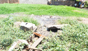 •SOME children standing against a background of a leaking sewer pipe in Masala Township in Ndola, where the residents are living under the threat of waterborne diseases. Picture by MILDRED KATONGO