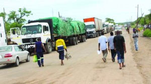 • CARGO trucks marooned at the Kazungula Border in Kazungula, Southern Province, captured yesterday. Picture By BRIAN HATYOKA