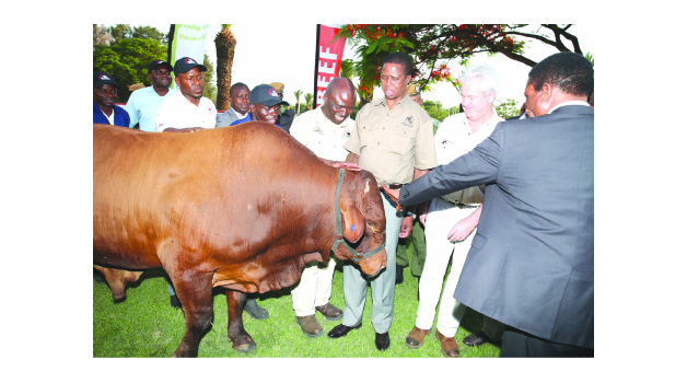 • PRESIDENT Edgar Lungu admires a bull donated to him by ZAMBEEF with company joint chief executive officer Francis Grogan (second right) and Fisheries and Livestock Minister Michael Katambo (right) during the 112th Zambia National Farmers Union annual general congress at the Mulungushi International Conference Centre in Lusaka yesterday. Picture By THOMAS NSAMA/STATE HOUSE