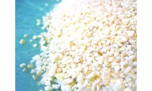 •Personnel from the Ministry of Health should look into the healthy properties of sample and those of its proposed substitutes.